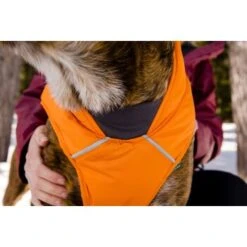 Ruffwear Quinzee™ Hundejacke Orange M -Ruffwear Geschaft 001bdf29a34dffebf7840b4a759030f83c299732 1370013 de DE 17dd615b14a3a705025267b6458fddf099eb308bn8H5c2