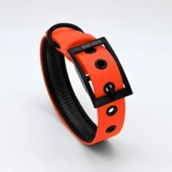 THE DOG IDEA Biothane Halsband Orange Neon Orange M -Ruffwear Geschaft 01a9a3da6a1cfd60572716e4f5b2942e18f98a80 1481072 de DE b30fbbbe19050e731d3d231c3b071392c6ab650bAgpq70