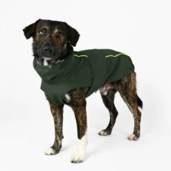 THE DOG IDEA Regenmantel Duke Oliv XXXS -Ruffwear Geschaft 02afa769d31b57488c2d6ad6ebfaf7cf491d543b 1472982 de DE 64557359b1954a78585705410ad9c938f92b5befQTcb4l