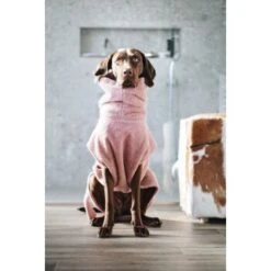 Lills Lill's Hundebademantel "Pink Berry" 35 Cm -Ruffwear Geschaft 04a74783d50cdc98002051c351bf7a8a33cd1745 1349655 de DE 212dae4af17564ba144b7af1fd42f4b436426636rEvFkh