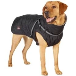 Dogs Creek Outdoormantel Steel 26 Cm -Ruffwear Geschaft 04b21e219d37843fc83191c274970363ecdbe23f 1338662 de DE DC Mantel Steel.3