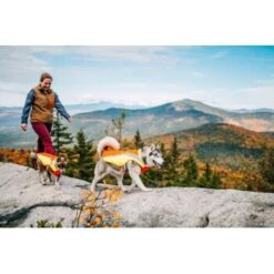 Ruffwear Lumenglow™ High-Vis Hundejacke Orange XL -Ruffwear Geschaft 055f8ec457e40b7d33e9c275c20ea79bae1e006a 1378153 de DE e8b1f6094bc39d07bc90bd4fe7fc0806cf22bedaBId7iB