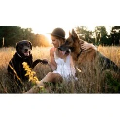 Mammaly Super Protect 110g -Ruffwear Geschaft 05c9b1b79b877db2952fc05b88ebc49c5e35a7e1 1472890 1