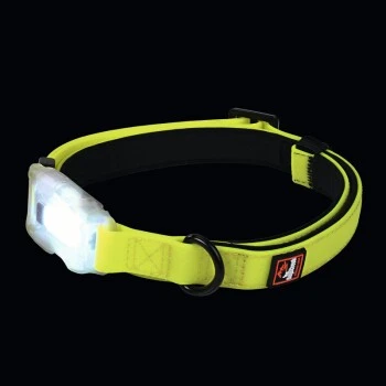 Dogs Creek Leuchthalsband Polar Light S 4 Dogs Creek Leuchthalsband Polar Light S – Bild 2