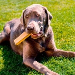 Larsson Yaky Kaukäse XL -Ruffwear Geschaft 06d40594a1ce5b7fb2b9172bc3bce44107037525 1327624 de DE 620ca0cdbae088fab54671a36b17dafb3fbfc6ccVv825o