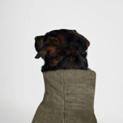 THE DOG IDEA Bademantel Every Khaki XXXS 11 THE DOG IDEA Bademantel Every Khaki XXXS -Ruffwear Geschaft 08d4ec498c585cdadfada6a4c3297d6f4c28d816 1473018 de DE 537902d50a13ec441ccfea84817fdb2f9ffb8d39pqXbmK