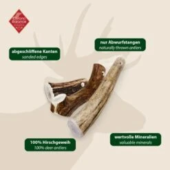 ChronoBalance Rothirsch Geweihstange Ganze Und Runde Stücke 300 G -Ruffwear Geschaft 08e6e76c5c3e8863d054d54fbc69325510bb6eb3 1409643 de DE 97f6faa2e066481717c6e9970bb381a3824303b8rqJ9OV