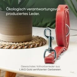 Freudentier Hundeleine Aus Leder, Verstellbar Rot 2 Cm -Ruffwear Geschaft 095e47da8f5a307b6f5025838b38597754678a1e 1655244 de DE 8e350e610570bdb83aafc866d93ab02d6b2880d0RXpT0B