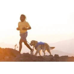 Ruffwear Trail Runner™ Weste Blau XS -Ruffwear Geschaft 0b5b007ea11304fa0e12a2aa87d6cc6d6e6417b8 1639640 de DE dd2f81006cc91bb9a3794f38bc8a64c6efb41dd51MouDb