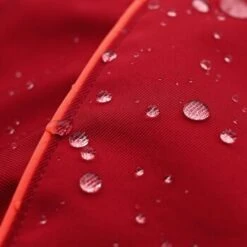 THE DOG IDEA Regenmantel Duke Rot XXXS -Ruffwear Geschaft 0b96c2b346599e3bfc621cd46bc5222963a975ce 1487619 de DE 15918523d26ad94991e88a54ba0dbb6c1b769d88mq6M8P