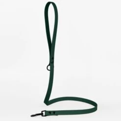 THE DOG IDEA Cityleine Biothane Dunkelgrün -Ruffwear Geschaft 0df6b1d4a42960c85c8de47d66841dc4c5f48aa0 1674236 de DE 2985af299dc000337abb70e5cd644f743daf3b66UocAo6