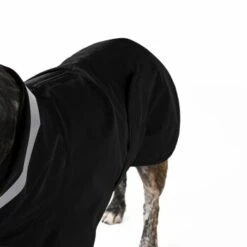 THE DOG IDEA Regenmantel Kayden Schwarz XXS -Ruffwear Geschaft 0e01175cba853a87eaf04bc91048ff79a3427543 1681338 de DE 6ffe4ba43054e7f852d6b34c5aa2c03f7bf7dd45347g4M