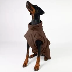 THE DOG IDEA Bademantel Every Braun XXXS -Ruffwear Geschaft 14ecf5117c3eabbbec9278cf556e97a76ccfaa55 1473036 de DE 3a97ae3ef1a337b95aff8c1bcccce5d09d2183a4SxAHAK