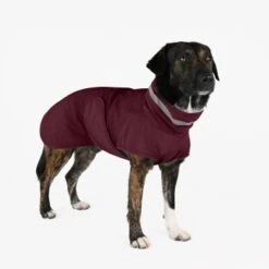 THE DOG IDEA Regenmantel Kayden Bordeaux XXXS -Ruffwear Geschaft 15199a1306a3ace800e507518b9566b7fa68dccf 1681344 de DE 94a97a0c60e07ef5f6aadab2583dc6e8415511e0pXx3H5
