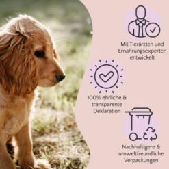 FAVLY Petfood Premium Naturkauartikel Rinderkopfhaut 750 G -Ruffwear Geschaft 16b068451ff3df67cd4c996bc25d91fc297148e7 1473999 de DE a2c9f8d86d80fc90ca8f9c923a08051ec130ef8dA94Ri3