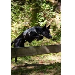 Ruffwear Geschirr Webmaster Grau XS 5 Ruffwear Geschirr Webmaster Grau XS -Ruffwear Geschaft 1b167967566c9e11ef2b91e52dd5bb0461baee5d d562c334d53f96637bab63ff078aac7c9a1c101a