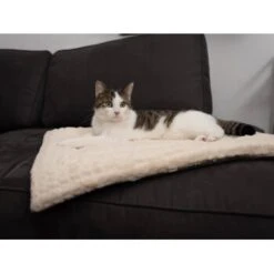 TrendPet Heaven Gefütterte Liegedecke Beige XS 14 TrendPet Heaven Gefütterte Liegedecke Beige XS -Ruffwear Geschaft 1cbcc70fb52cad4d647f2839fe0bd973c70c3194 1247692 de DE afe399b6e05ab9a3bb6e2580fd9749db565c2c4d5SMNrr