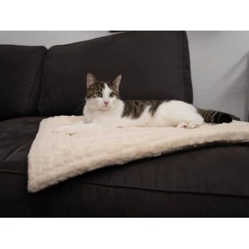 TrendPet Heaven Gefütterte Liegedecke Beige XS 5 TrendPet Heaven Gefütterte Liegedecke Beige XS – Bild 3