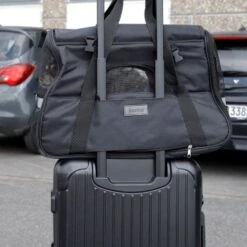 Lionto Transporttasche Für Hunde & Katzen Schwarz 9 Lionto Transporttasche Für Hunde & Katzen Schwarz -Ruffwear Geschaft 1ebfcdd6c7062792b4e1a646a7ca8c6ed7ff3397 1665916 de DE eba54b859d73ea972993e2cb40789e3b774cf3dc82ixVh