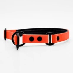THE DOG IDEA Zugstopp Halsband Orange XS -Ruffwear Geschaft 1ed8fefef63b371ec4cda43f60e91d6f1ca94f50 1499712 de DE a31f6753e5b48355b1f0f63cd519e5adcd14cfd067hyQ3