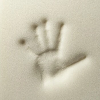 Rexproduct Otto Orthopädisches Hundebett Grau S-XL Graphit/nature S 5 Rexproduct Otto Orthopädisches Hundebett Grau S-XL Graphit/nature S – Bild 3