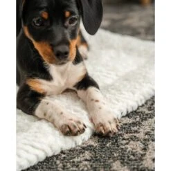 Lionto Wendedecke, Liegedecke Für Hunde & Katzen S -Ruffwear Geschaft 1f70cef866b778b081a98b378a531b64d9215283 1657054 de DE a25e5e5240b190e57c5e1b4f2566e2b5a9d98b86SxzTFn