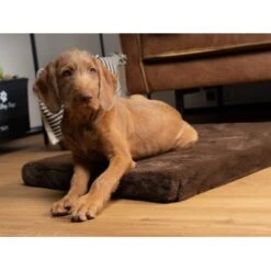 TrendPet VitaMedog Orthopädische 5 Cm Matratze Braun XS -Ruffwear Geschaft 1f7e063200c2d564362d194b0af60fb3ade9f566 1223160 de DE ed537fa91b415038159f45fe33dd09ae07f5456fjrdc9Q