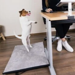 Freudentier Faltbare Hundematte Für Unterwegs S-M -Ruffwear Geschaft 2028d765e8e36bbac743fe9fa472973621598490 1445215 de DE 88a2b27d760da648b7a5995f69e3cd880b3018er