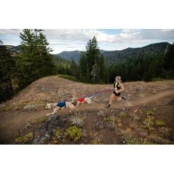 Ruffwear Switchbak™ Geschirr Rot L-XL 22 Ruffwear Switchbak™ Geschirr Rot L-XL -Ruffwear Geschaft 23dd195703ee00ec85cacb65e74729e3bb506fa0 1651575 de DE 377a773ec9492fbe4e6e0591699f3d1ad7b1f7b1ZbmBUY