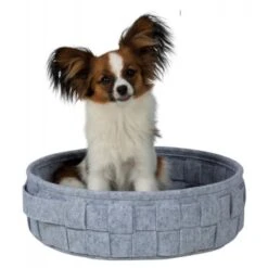 Trixie Liegeplatz Lennie XS -Ruffwear Geschaft 240aa1721a5e6721179a3a1fb1046b823d1bc9f4 eb457d6095b100dc7a7eb1ec94c22da4335d4dcd