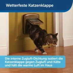 PetSafe Staywell Deluxe Katzenklappe -Ruffwear Geschaft 2439535b6b5c52e3495efca67417924dcc5267ca 1034170 de DE 620d42e1f28b26a99f1215294a23ca5c8f64c8b00mHBlY