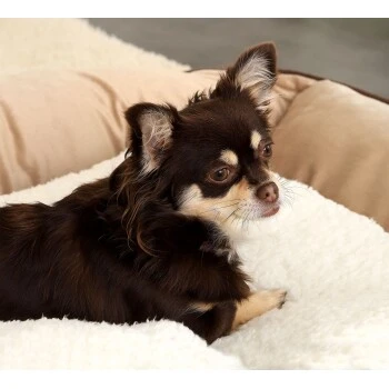 Lionto Selbstheizende Wärmematte Für Haustiere 6 Lionto Selbstheizende Wärmematte Für Haustiere – Bild 4