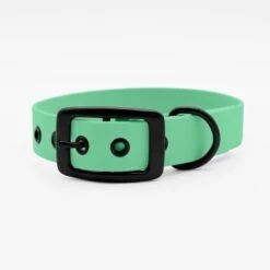 THE DOG IDEA Biothane Halsband Mint Schwarz XS 9 THE DOG IDEA Biothane Halsband Mint Schwarz XS -Ruffwear Geschaft 25cf8844167d35dc6a0ede8247bd0c1c48926912 1679203 de DE 5dfc334cca991c733ec62b12b4247e7b946f4cb7XO7Lzj
