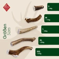ChronoBalance Rothirsch Geweihstange Ganze Und Runde Stücke 300 G -Ruffwear Geschaft 26abec1cc05fc1329a555525fdb7a71f1bde973b 1409643 de DE b53ead287655d4956b27f33d8e355158a7ac55de6JKqvP