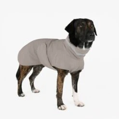 THE DOG IDEA Regenmantel Kayden Greige XXXS -Ruffwear Geschaft 26e94b2819d39eebebb4da2e237a239e28fae7d4 1681330 de DE 05ad4e02821b193e1ef55613cb4c06a88e5f03eeC7wae5