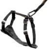 Kurgo Sicherheitsgeschirr XS -Ruffwear Geschaft 27bfc66e230342d598f56f7e07c3ba5a31d7909a edce8e133de13635e87c280079bca6a6a1896636
