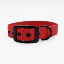 THE DOG IDEA Biothane Halsband Rot Schwarz XS -Ruffwear Geschaft 294aea8de34124c1b1d09fb16f193430266979a3 1662798 de DE 8683a36368cc4e7b21c2e84b3a5c8e0e283b6526H9wQ7N