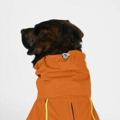 THE DOG IDEA Regenmantel Duke Orange XXXS -Ruffwear Geschaft 2c464c8150423d80739b1409ce956e12c7928827 1473000 de DE 974a3540330c77e50b2a59dc10e705f1dbfc6716V9PfXa