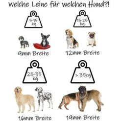 Bio-leine Bis 8kg Für Minis Schleppleine Neon Grün 3 M -Ruffwear Geschaft 2d326617b91e07b52ad7bdf548579e45b4ea7825 1473280 de DE 9e86c715e549a5f350fc133f6a3d246a11c429beJp6ldY