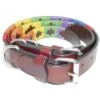 Kipita Polo Halsband Rainbow S 1 Kipita Polo Halsband Rainbow S -Ruffwear Geschaft 2dd5615a545dad05c67d0f97fb4757df4f480fbf 1410918 de DE 3ed35cfcc2064e2d6c53a3ed0ac1251222386fb0saNIJl
