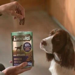 Adventuros Mini Steaks Hirsch 7x70g 13 Adventuros Mini Steaks Hirsch 7x70g -Ruffwear Geschaft 2e2ae235557f4e213e8fb7486871b002e1b3ab69 33076268b6b2662078af3ca0eea08fc78b831e6a