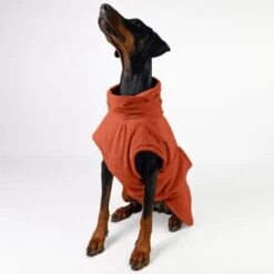 THE DOG IDEA Bademantel Every Steinrot XXXS -Ruffwear Geschaft 2e931aa465dfb011549016260aaf15af0752cd70 1473054 de DE 15dccd37b84bb897625a5dad636eee6fc7a01d66znpQXe