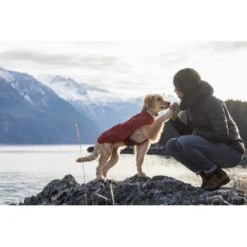 Ruffwear Overcoat™ Hundejacke Rot M -Ruffwear Geschaft 32b81091541e421621a809b75c62062d90eca320 1369977 de DE e6611e4bd31113b7d836455a75813df21f681f8eLLYoOv