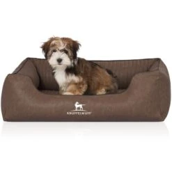 Knuffelwuff Orthopädisches Hundebett Chesapeake Aus Laser Gestepptem Marmoriertem Kunstleder Braun M-L -Ruffwear Geschaft 33c23c19295ad0881ab8091487086f89c6372a28 1412324 de DE 23f91e124bd6855a2eb7ad0906981c8ab111a0430571Dm