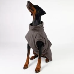 THE DOG IDEA Bademantel Every Taupe XXXS -Ruffwear Geschaft 33db6a274662d54a120eded68cbb0084aca2ab21 1473027 de DE 66449ce0cb21357c2081b9379bf434469bb71cdf7zBVD9