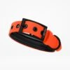 THE DOG IDEA Biothane Halsband Orange Neon Orange M 2 THE DOG IDEA Biothane Halsband Orange Neon Orange M -Ruffwear Geschaft 37c63938037bf2ae94a9418e15a3723a2ecc7133 1481072 de DE 0517b01e4e7d564c49948f153500b5cf82b34582epxiJR