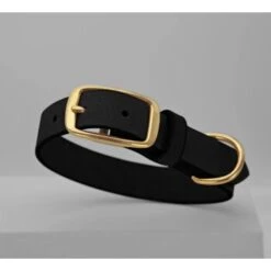 THE DOG IDEA Leder Halsband Schwarz S 8 THE DOG IDEA Leder Halsband Schwarz S -Ruffwear Geschaft 37e2fcd9bd861e787466898b6fb2d26670c73b8c 1674225 de DE 325f9cfb94af9a64db0ac17209bc870ebd068194SFPGKv