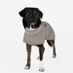 THE DOG IDEA Regenmantel Kayden Greige XXXS -Ruffwear Geschaft 388f18a16f3ef46e42429e3e6998bdcc5f13c564 1681330 de DE d791f38b8115cb21794f155838f6af392f1bfe1bmdkikr