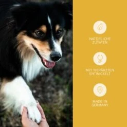 Mammaly Immu Push 110g 14 Mammaly Immu Push 110g -Ruffwear Geschaft 38b7917670f59d2a88ff5d6635a04535121b1ee9 1472893 5