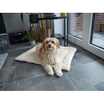 TrendPet Heaven Gefütterte Liegedecke Beige XS 4 TrendPet Heaven Gefütterte Liegedecke Beige XS – Bild 2